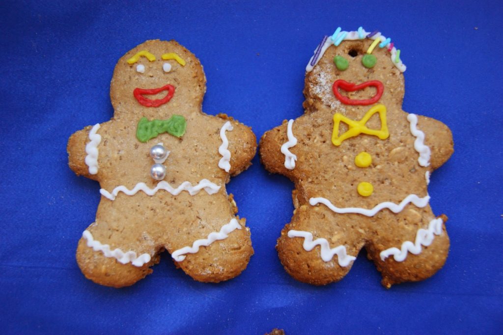 Zdrowsza wersja pierniczków na Święta DSC05153-1024x682 Zdrowsza wersja pierniczków na Święta