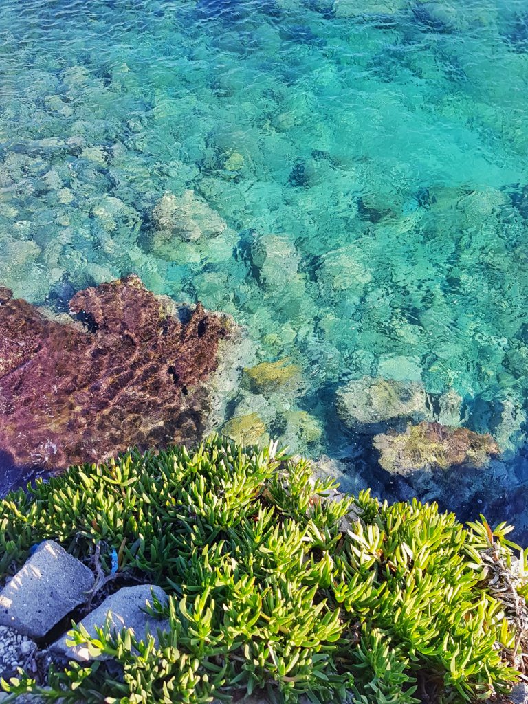 20191215_132932-01-768x1024 Wyspa Aegina | Co warto zobaczyć? | 2019