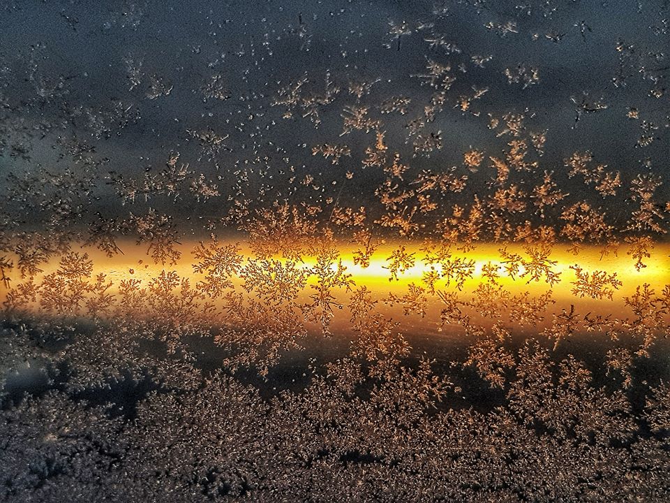 IDO Dance Off | Skopje 2019 74911498_989150371428116_8318365991717306368_o IDO Dance Off | Skopje 2019